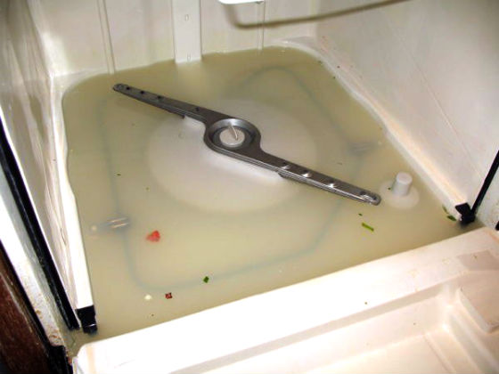Посудомоечная машина не сливает воду | Вызов стирального мастера на дом в Лосино-Петровском